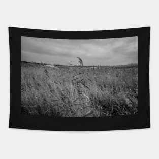 Norfolk reed bed Tapestry