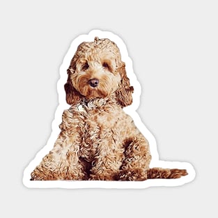 Cavoodle Labradoodle Cockapoo Mini Poodle x Cute Puppy Dog Magnet