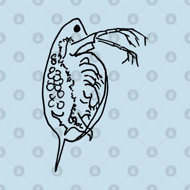 Daphnia Line Art by DashingGecko