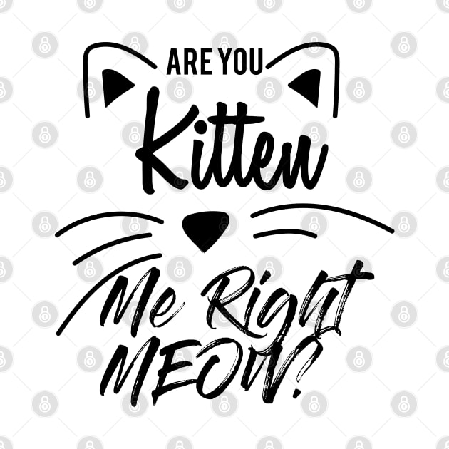 Are You Kitten Me Right Meow by Abderrahmaneelh