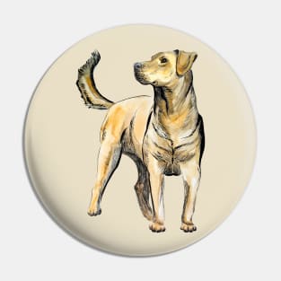 Labrador Pin