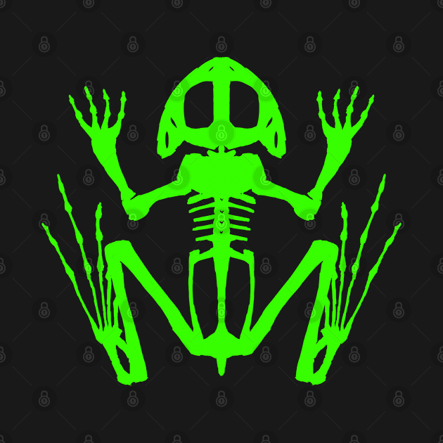 Frog Skeleton (Green) by braincase