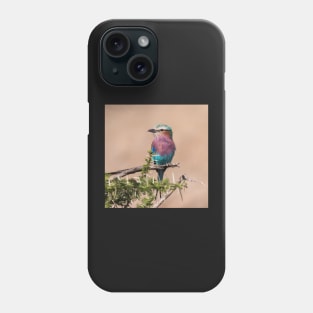 Lilac-Breasted Roller Phone Case