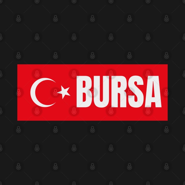 Bursa City in Turkish Flag by aybe7elf