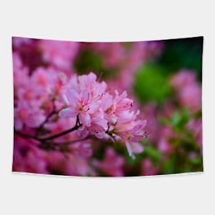 Pink Rhododendron Tapestry