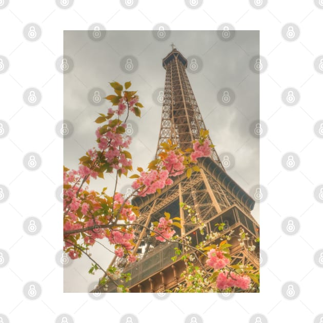 Springtime Eiffel by Michaelm43