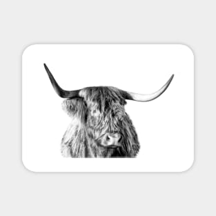 Highland Cow Magnet