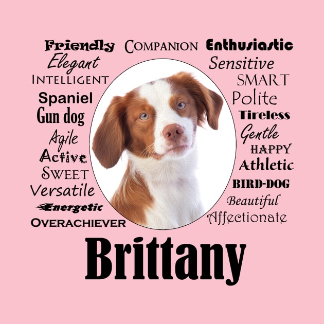 Brittany Traits by You Had Me At Woof