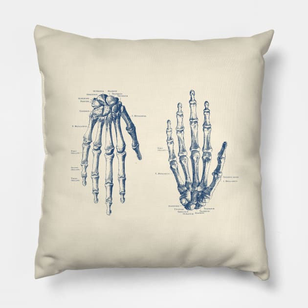 Double Hand Skeletal Diagram - Vintage Anatomy Print Pillow by Vintage Anatomy Prints