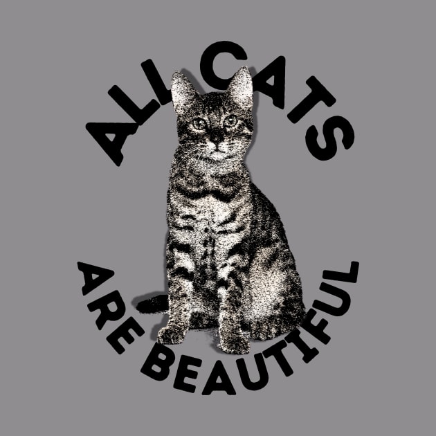 All Cats Are Beautiful by Libertees22