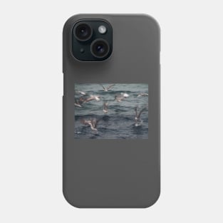 Seagull Phone Case