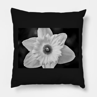 Daffodil (Black and White) Pillow