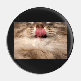 Cat Showing Tongue - Funny Face Pin