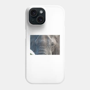 Elephant Close-up/Portrait - Kruger National Park Phone Case