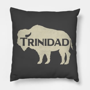 Trinidad Buffalo Pillow