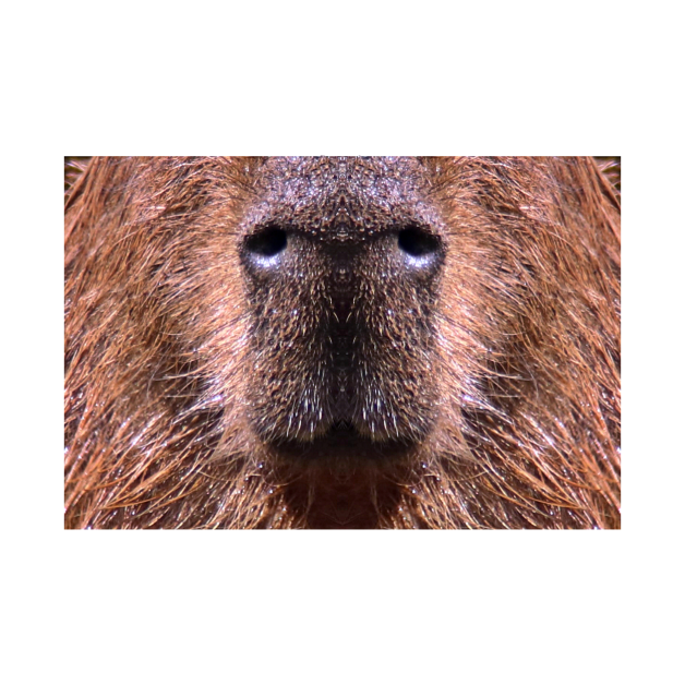 Capybara Face Photo Facemask by chrismilliganphoto