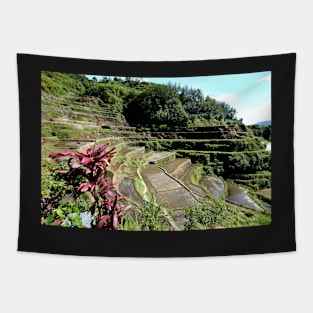 Rizières en terrasses Banaue, Philippines Tapestry