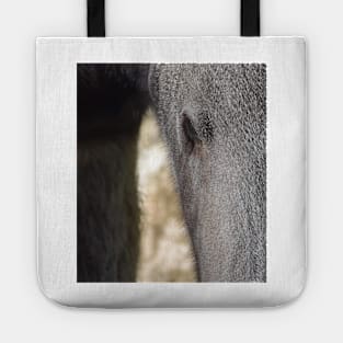Giant Anteater Tote