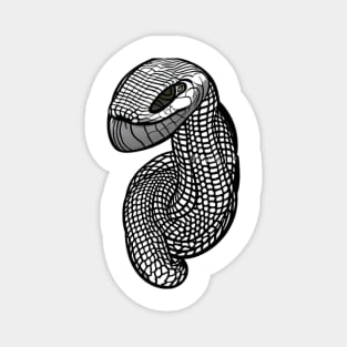 Black Mamba Portrait Magnet