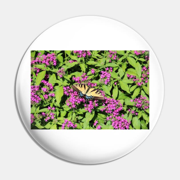 Butterfly On Pink Flowers Pin by Cynthia48