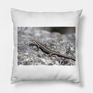 Grand Skink Pillow