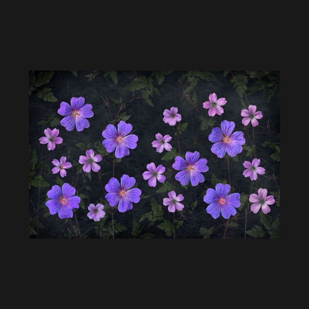 Geranium Collage4 by TonyNorth