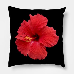 Red Hibiscus Pillow