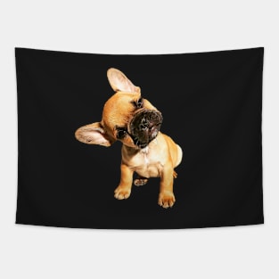 French Bulldog Cute Head Tilt Tapestry