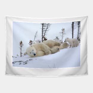 Mother polar bear stretching Tapestry