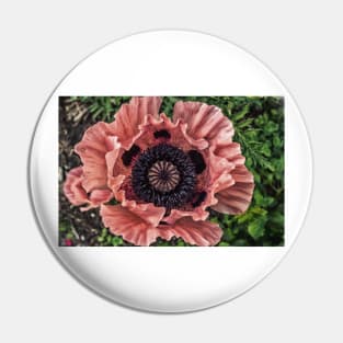 Poppy 5 Pin