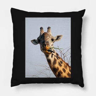 Maasai or Masai, Giraffe, Serengeti, Tanzania Pillow