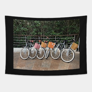 Bicycles at the Hotel Tapestry