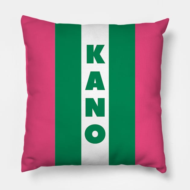 Kano City in Nigerian Flag Vertical Pillow by aybe7elf