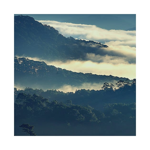 Mountains Covered In Fog, Landscape Photography, Forest Art, Cloudy Sky by Nature-Arts