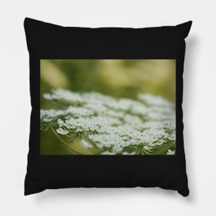 Queen Anne's Lace Macro Pillow