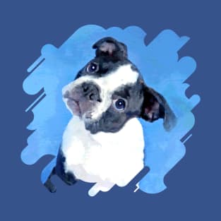 Cute Boston Terrier Puppy T-Shirt