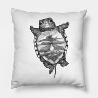 Little Turtle Pillow