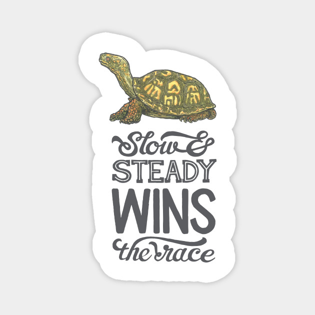 Slow Steady Wins The Race Turtle Magnes Teepublic Pl