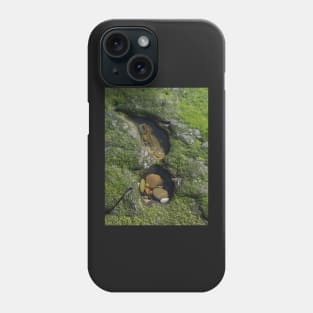 Two Rock Pools Phone Case