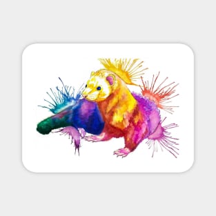 Color Splash Ferret Magnet