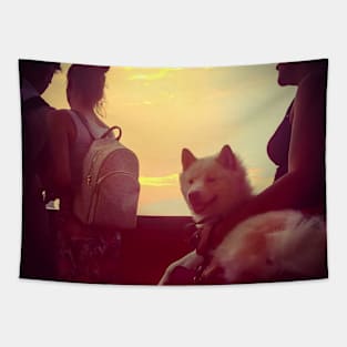 Staten Island Ferry Dog Sunset New York City Tapestry