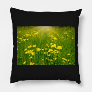 Daisies Pillow