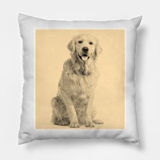 Charming Golden Retriever Pillow