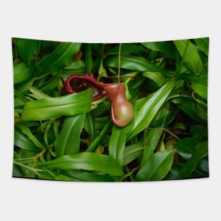 Pitcher Plants Tapestry