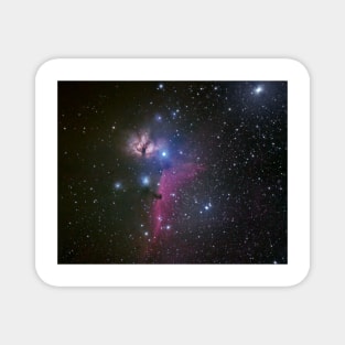 Horsehead and Flame nebulae Magnet