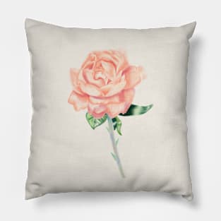 Peach Rose illustration Pillow