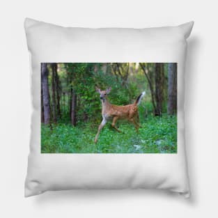 White-Tailed Deer Fawn on the run Pillow