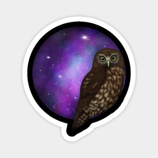 Galaxy owl Magnet