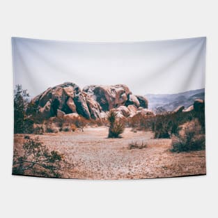 Huge Bolders from Joshua National tree Park Photo V3 Tapestry