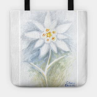 Leontopodium nivale or the  edelweiss flower Tote